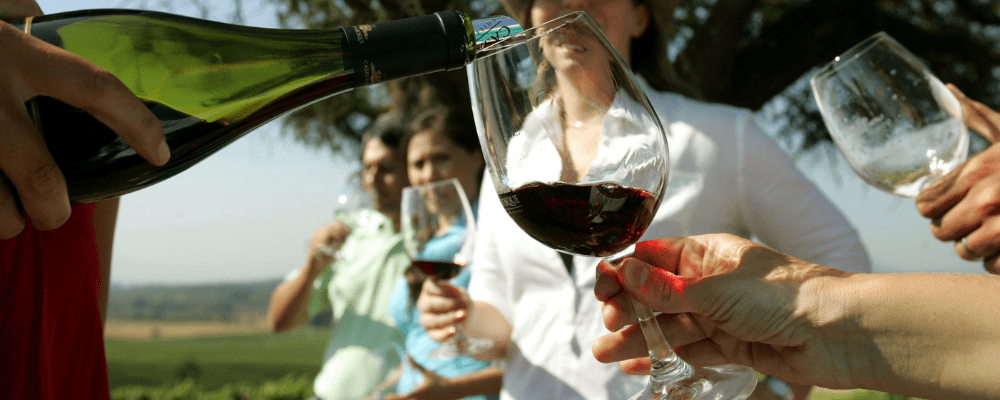 Visit Casablanca Valley taste wine vineyard tour