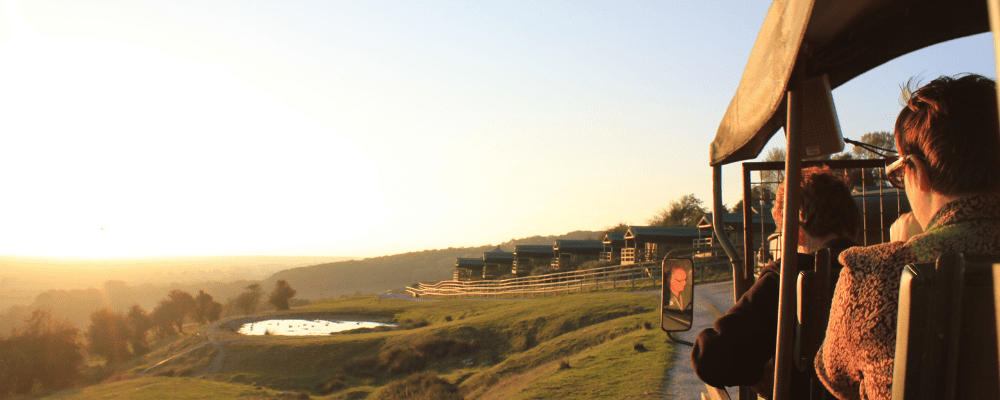 Tour of the Reserve, An Insider's Guide to Port Lympne Reserve, Winerist