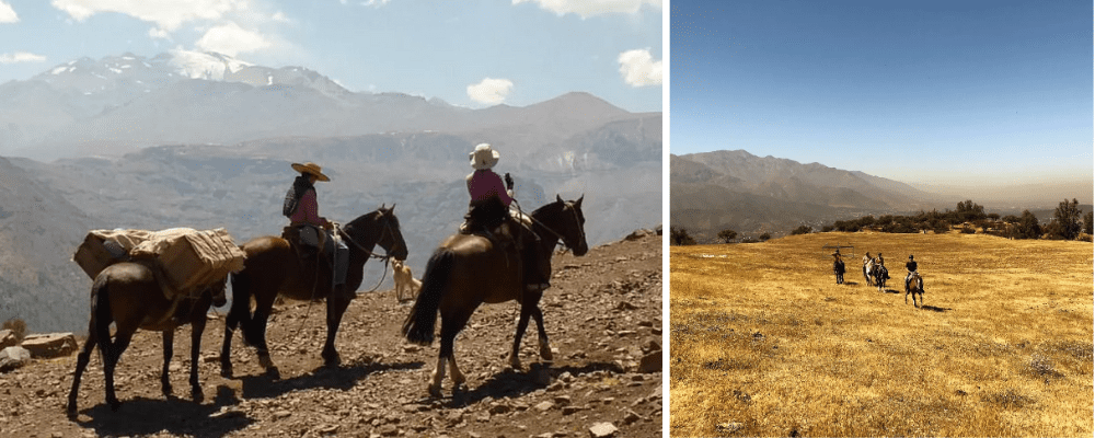 Chilean cowboys tour 
