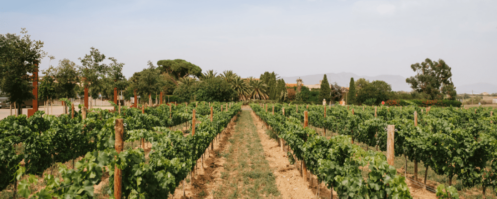 Perelada land, Catalonia, Spain