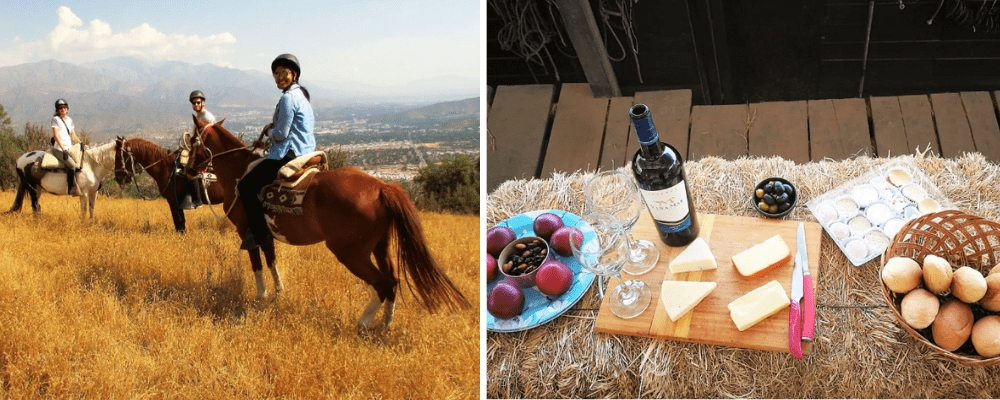 Santiago Chile horse riding and wine tour