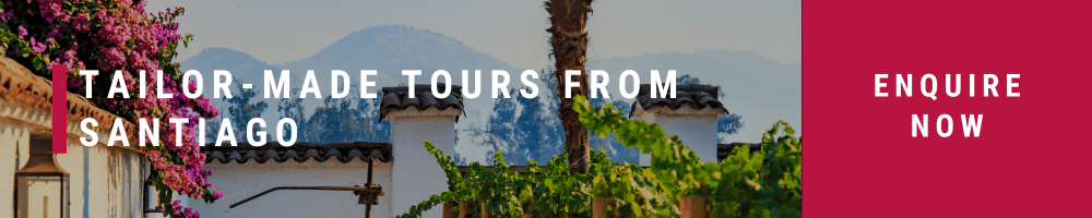 Click here for Tailor-made wine tours for Santiago Chile