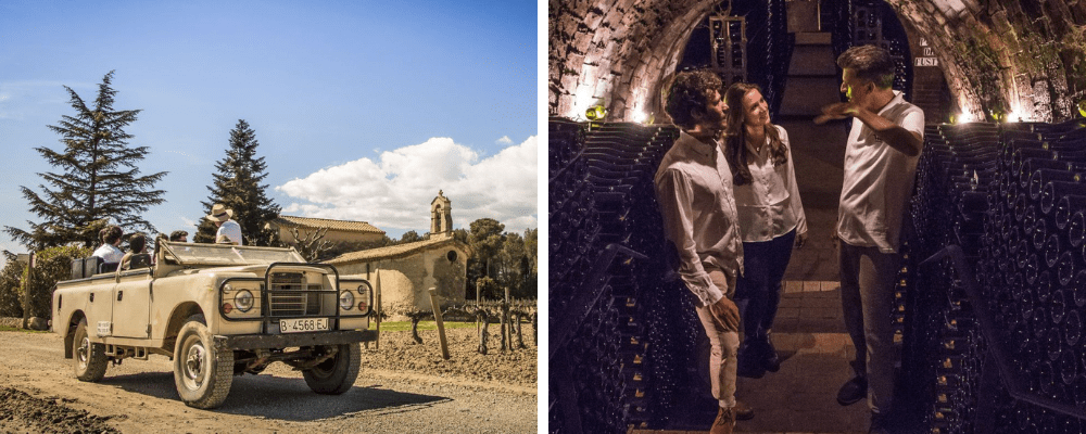 Wine & Cava Tasting With Tapas & 4WD Vineyards Experience From Barcelona, Barcelona