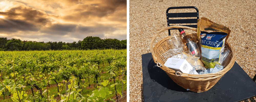 Private English Wine Tour From East Sussex Or Kent, East Essex and Kent