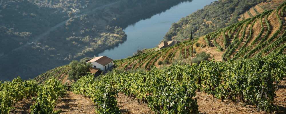 Douro Valley, Portugal 