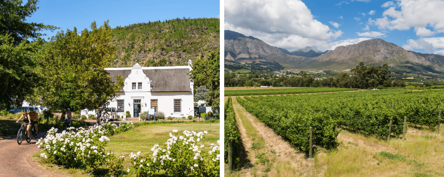 Pedals & Pairings: Luxury Franschhoek Cycle Tour