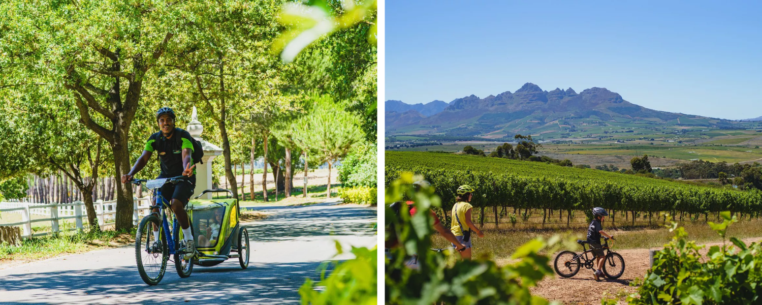 https://www.winerist.com/wine-tours/south-africa/stellenbosch/family-cycling-and-wine-tour-of-stellenbosch