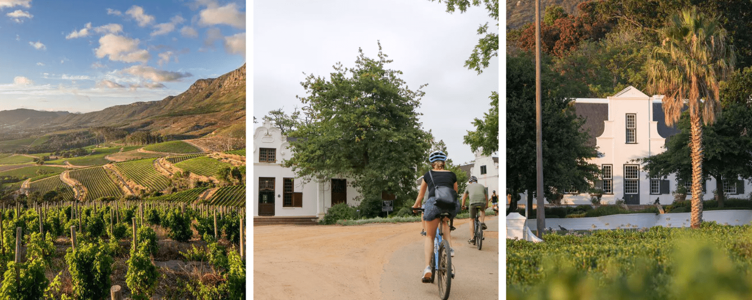 https://www.winerist.com/wine-tours/south-africa/cape-town/e-bike-wine-tour-of-klein-constantia-with-tasting