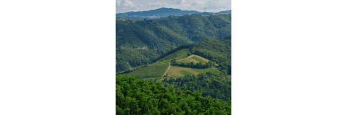 Aerial view of the Rhone Valley